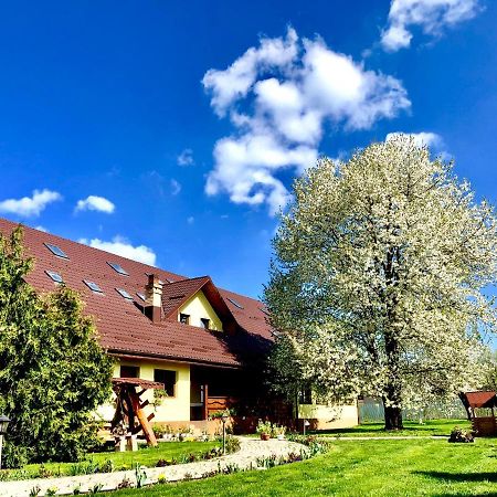 Casa Galbena Bed and Breakfast Arbore Εξωτερικό φωτογραφία