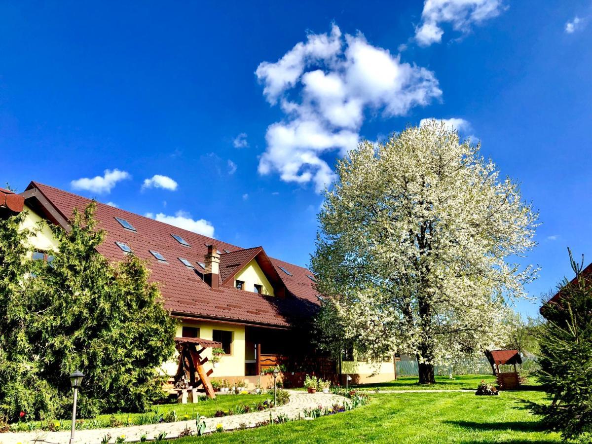 Casa Galbena Bed and Breakfast Arbore Εξωτερικό φωτογραφία